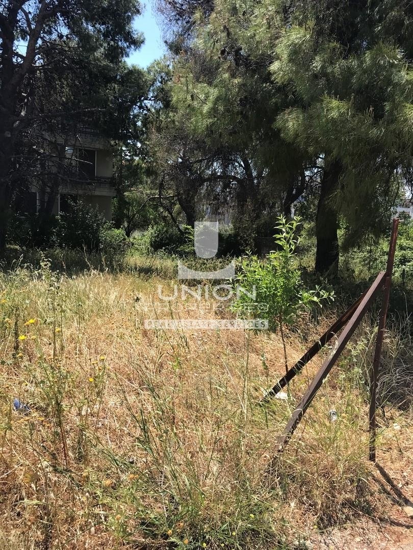 Land in Melissia, Attica, Greece 2 - 17848569