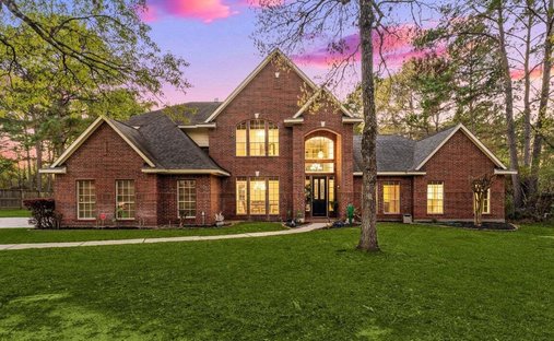 House in Magnolia, Texas, United States 1