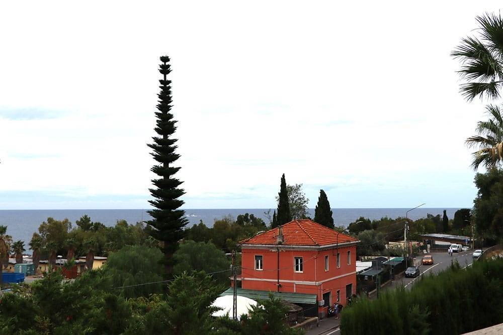 Apartment in Capo Nero - Pian di Poma, Sanremo, Italy 1 - 16273355