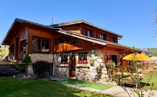 House in Cruseilles, Auvergne-Rhône-Alpes, France 1