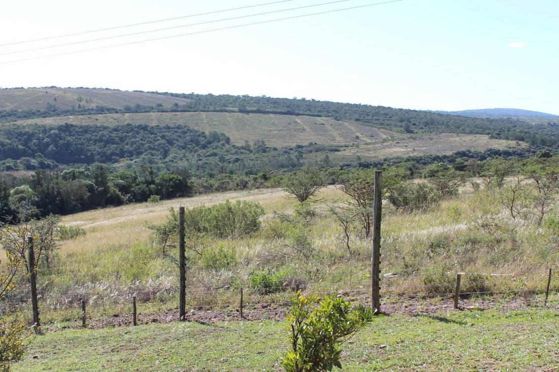 Farm Ranch in Bathurst, Eastern Cape, South Africa 4 - 17845402