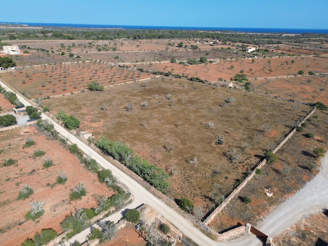 Terreno a Ses Salines, Isole Baleari, Spagna 5 - 17844808