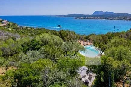 Villa a Porto Rotondo, Olbia, Sardegna 4 - 17844932
