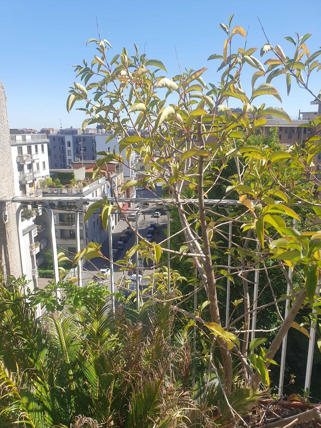 Apartment in Lodi - Brenta, Milan, Italy 5 - 17845928
