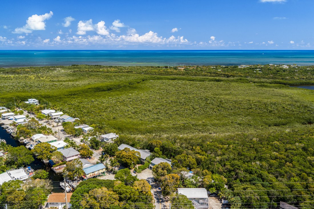 House in Tavernier, Florida, United States 5 - 17845487