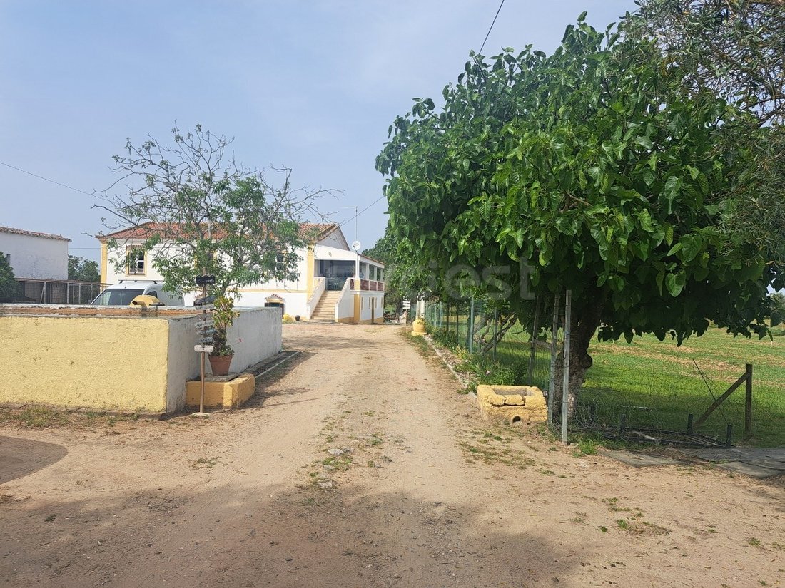 Finca à Beja (Salvador e Santa Maria da Feira), Beja, Portugal 1 - 17847919