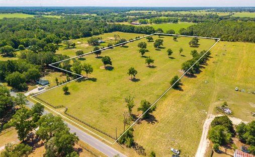 Land in Morriston, Florida, United States 1