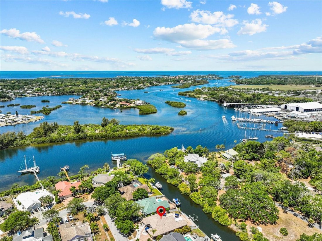 House in Tarpon Springs, Florida, United States 4 - 17844123