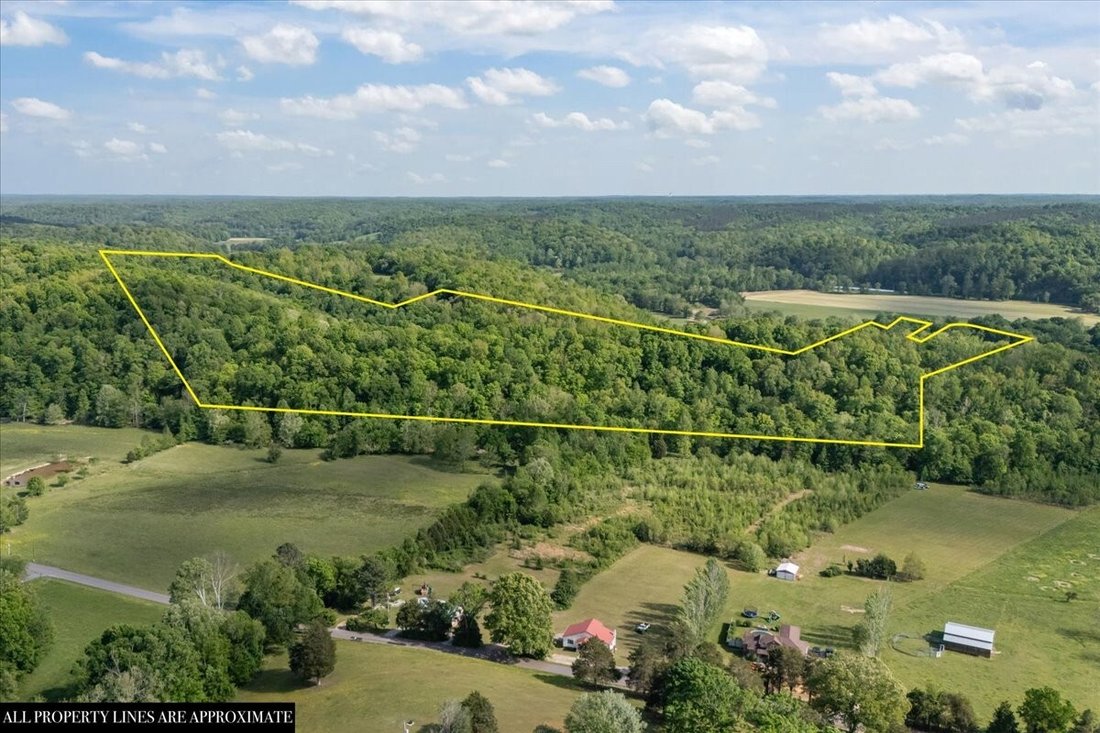 House in Waverly, Tennessee, United States 1 - 17846611