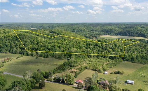 House in Waverly, Tennessee, United States 1