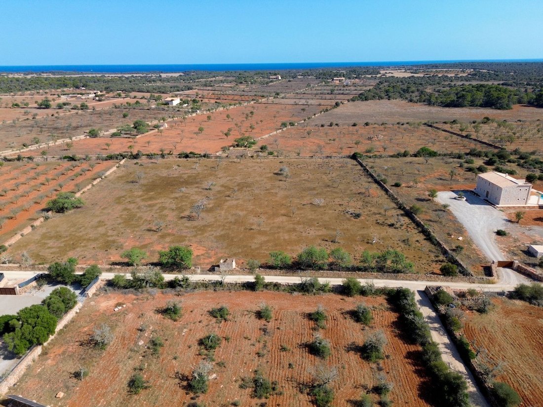 Terreno a Ses Salines, Isole Baleari, Spagna 4 - 17844808