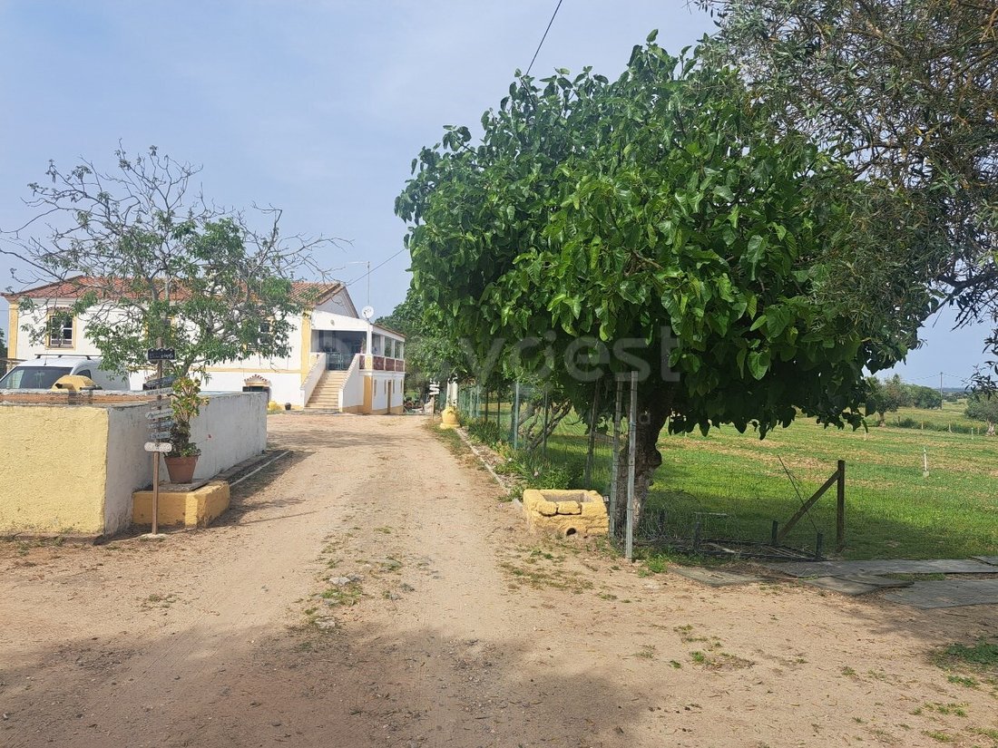 Finca à Beja (Salvador e Santa Maria da Feira), Beja, Portugal 2 - 17847919
