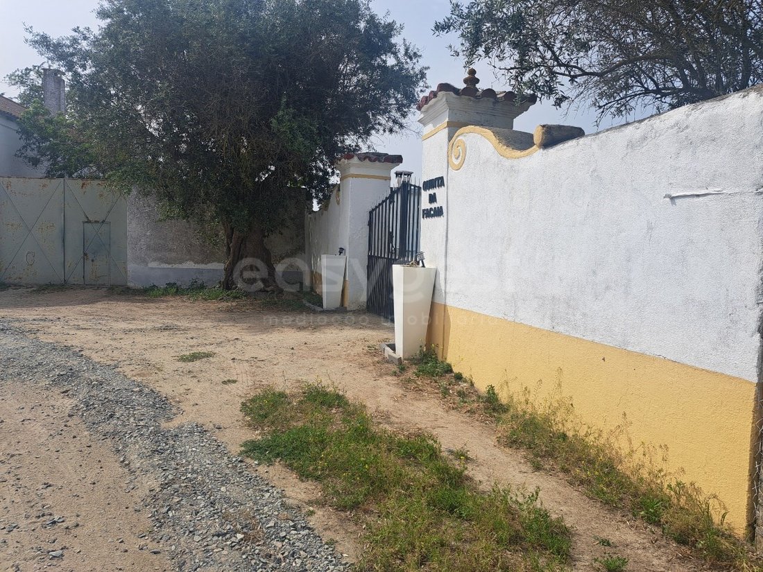 Finca à Beja (Salvador e Santa Maria da Feira), Beja, Portugal 5 - 17847919