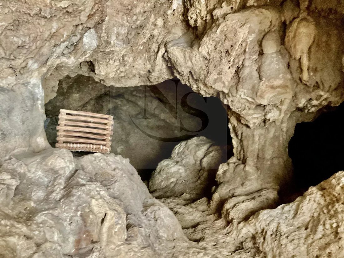 House in Cotignac, Provence-Alpes-Côte d'Azur, France 4 - 17845001