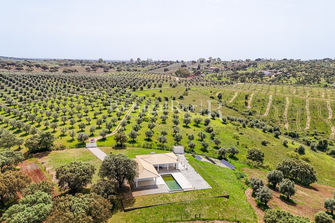 Estate in Avis, Portalegre District, Portugal 3 - 16099852