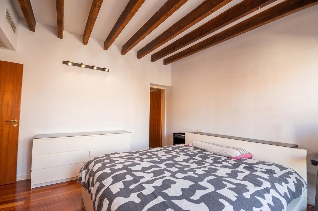 Apartment in Palma, Balearic Islands, Spain 3 - 17845732