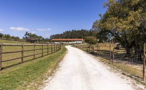 Finca in Algueirao-Mem Martins, Lisbon, Portugal 1
