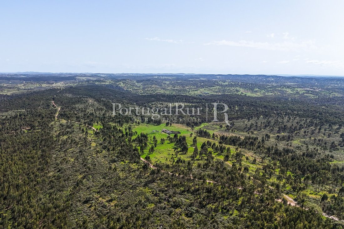 Estate in Terena (Sao Pedro), Évora District, Portugal 3 - 15238580