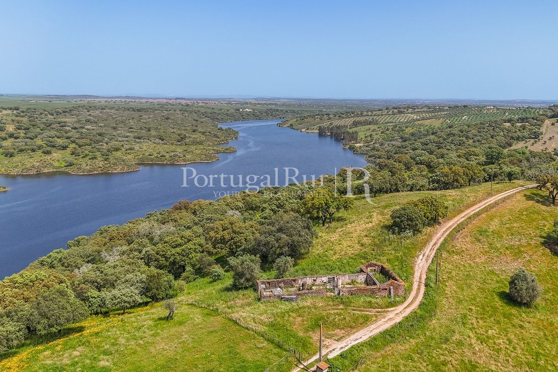 Estate in Avis, Portalegre District, Portugal 4 - 16099852