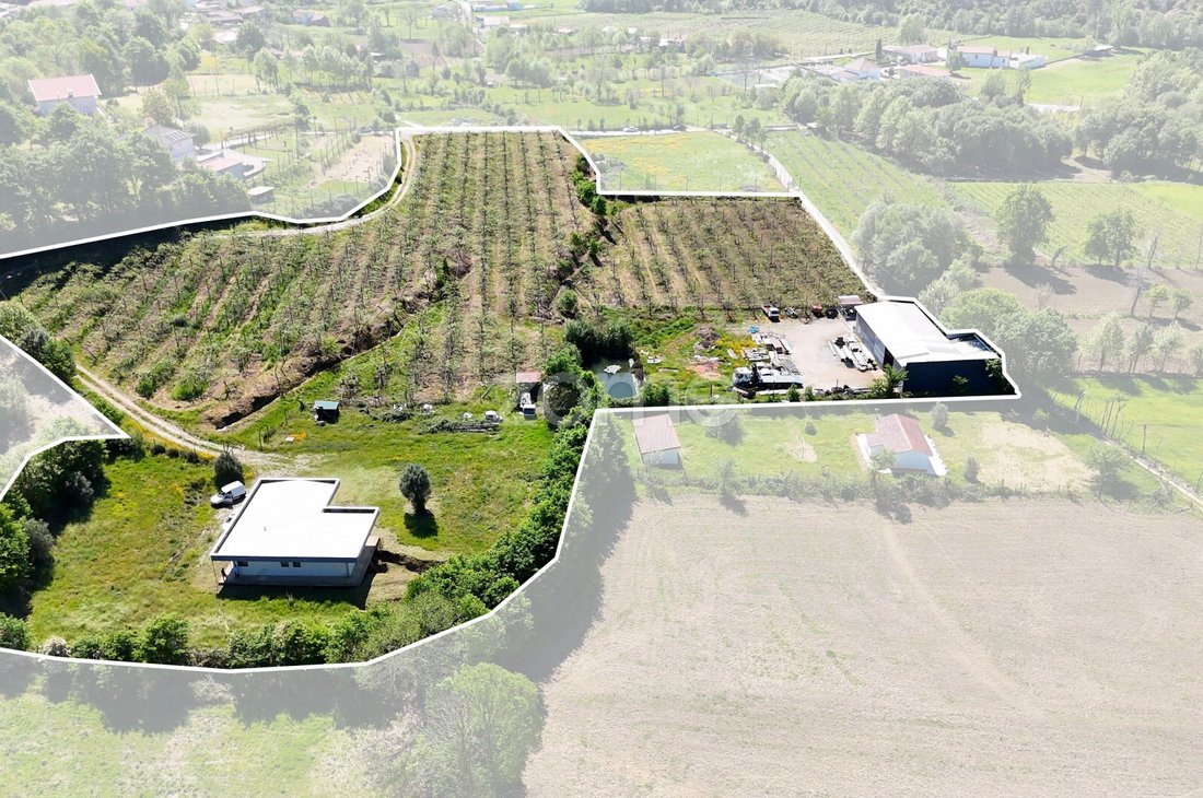 Finca a Refojos de Basto, Outeiro e Painzela, Braga, Portogallo 1 - 17848081