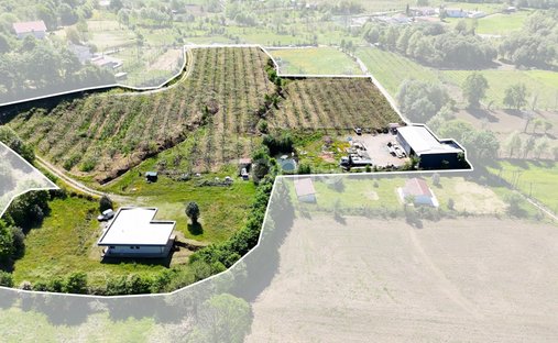 Finca a Refojos de Basto, Outeiro e Painzela, Braga, Portogallo 1