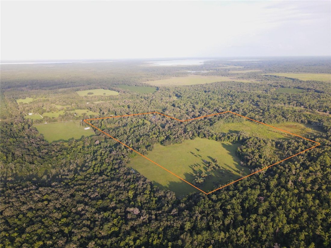 Farm Ranch in Micanopy, Florida, United States 1 - 17847037