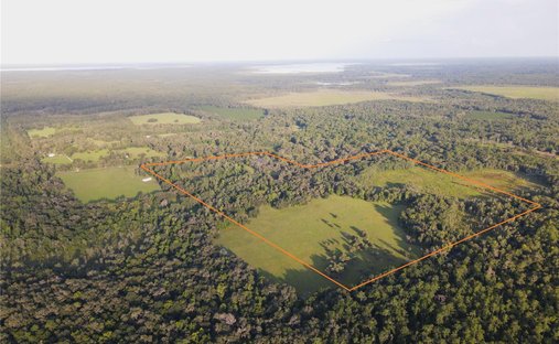 Land in Micanopy, Florida, United States 1