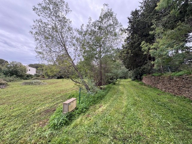 Land in La Croix-Valmer, Provence-Alpes-Côte d'Azur, France 4 - 17846932