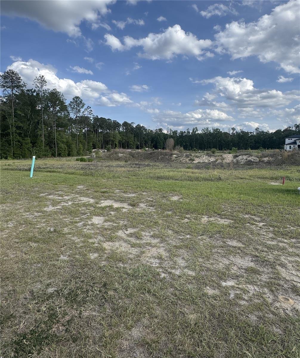 House in Newberry, Florida, United States 4 - 17847110
