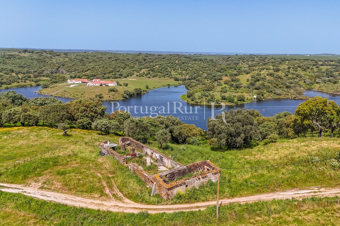 Estate in Avis, Portalegre District, Portugal 5 - 16099852