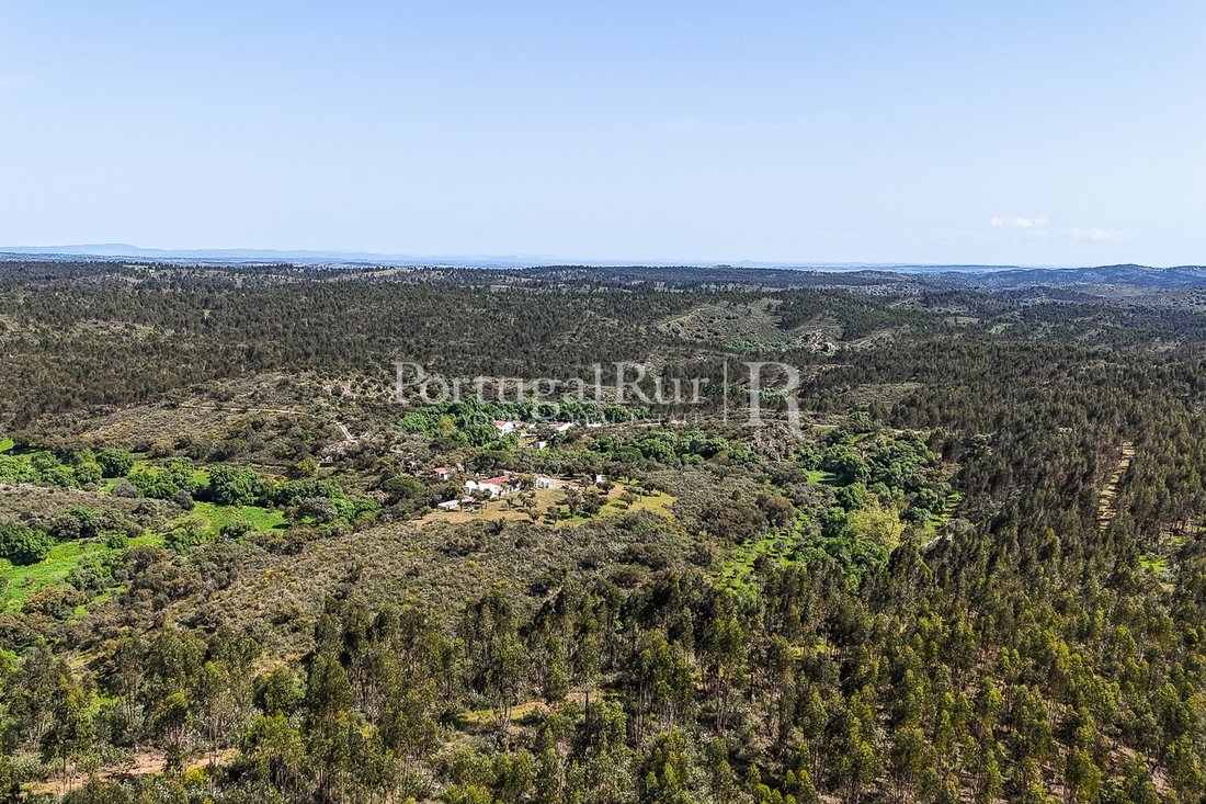 Estate in Terena (Sao Pedro), Évora District, Portugal 2 - 15238580