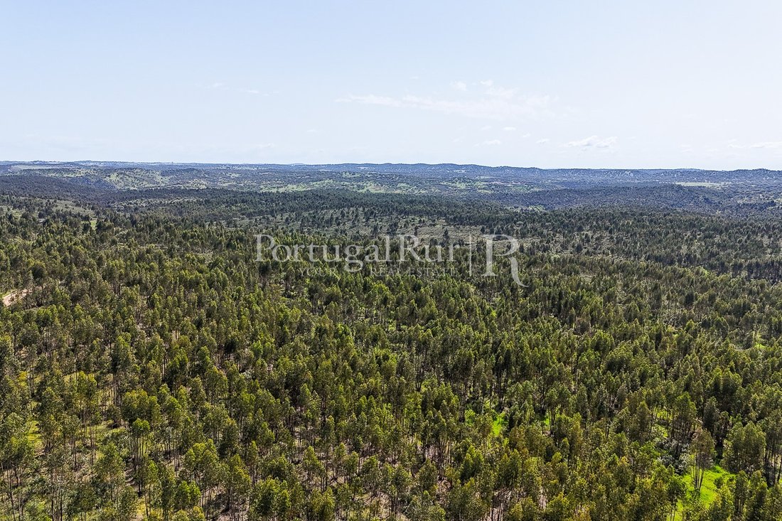 Estate in Terena (Sao Pedro), Évora District, Portugal 4 - 15238580