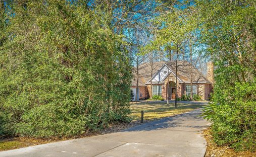 House in Conroe, Texas, United States 1