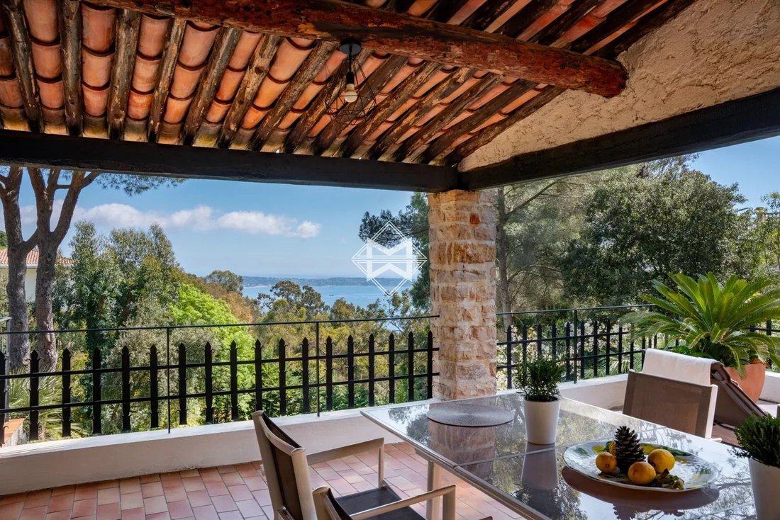 Villa in La Maure-Super Cannes, Vallauris, France 4 - 17845081