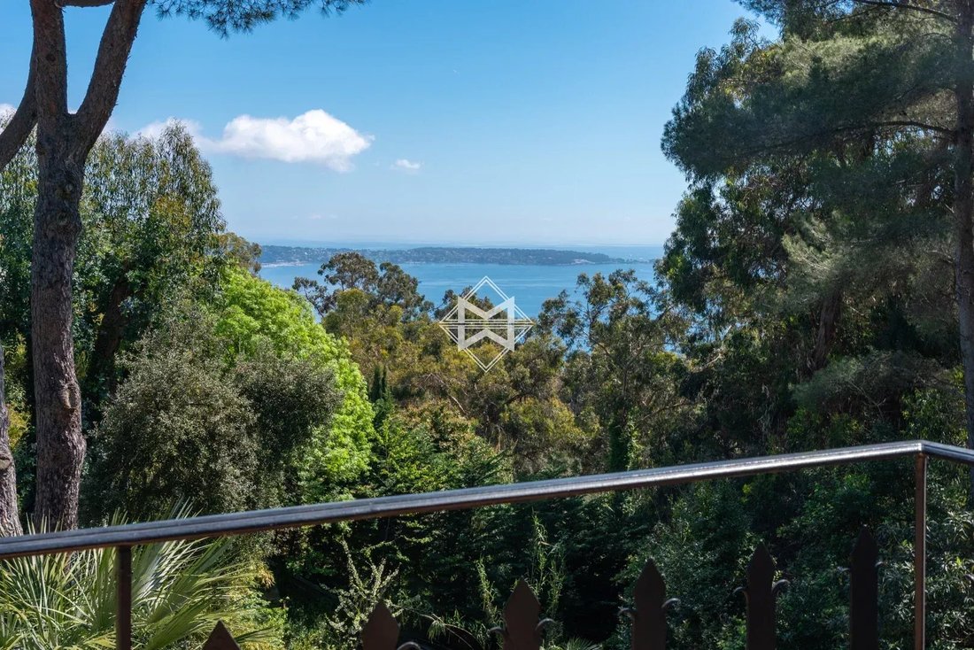 Villa in La Maure-Super Cannes, Vallauris, France 5 - 17845081