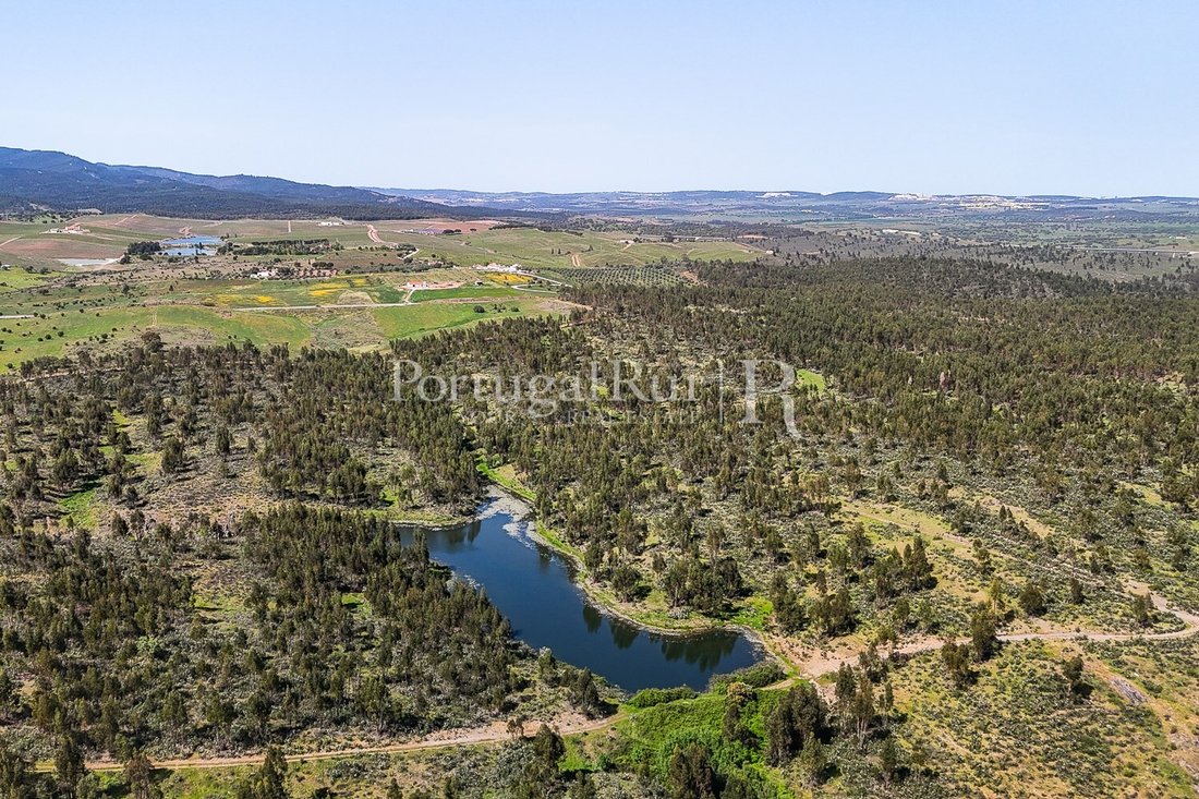 Estate in Terena (Sao Pedro), Évora District, Portugal 1 - 15238580