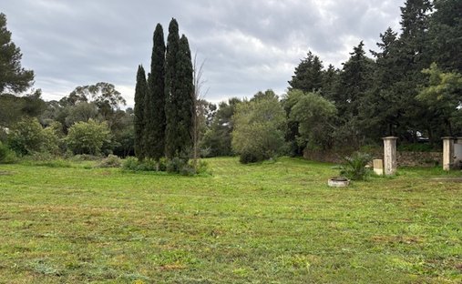 Land in La Croix-Valmer, Provence-Alpes-Côte d'Azur, France 1