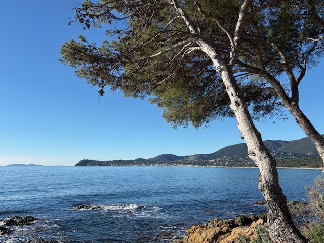 Land in La Croix-Valmer, Provence-Alpes-Côte d'Azur, France 5 - 17846932