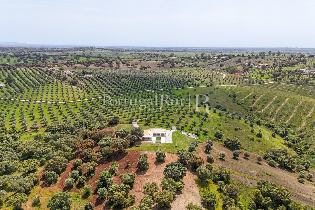 Estate in Avis, Portalegre District, Portugal 2 - 16099852