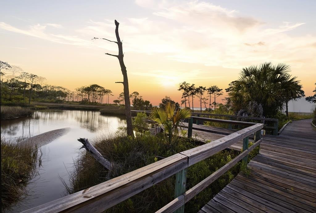 Casa a St. George Island, Florida, Stati Uniti 4 - 17557432