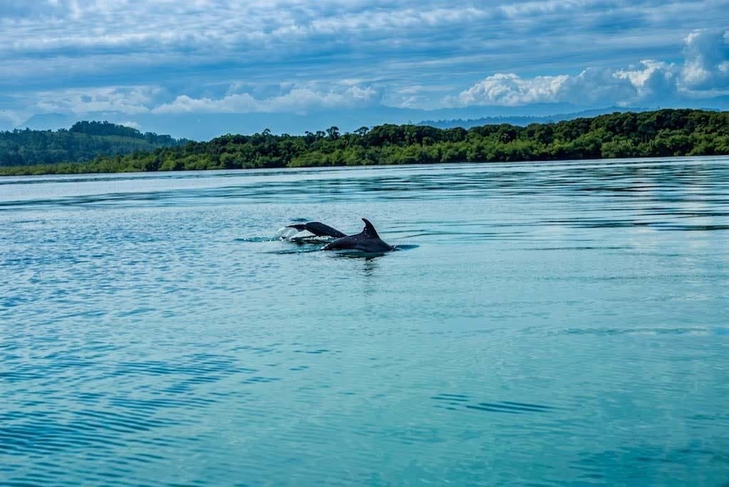 Land in Bocas del Toro, Bocas del Toro Province, Panama 4 - 15088772