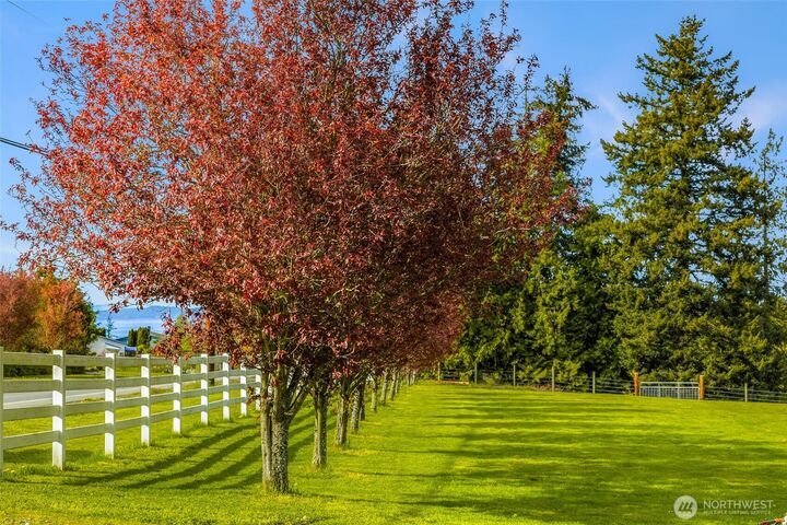 House in Camano, Washington, United States 4 - 17849168