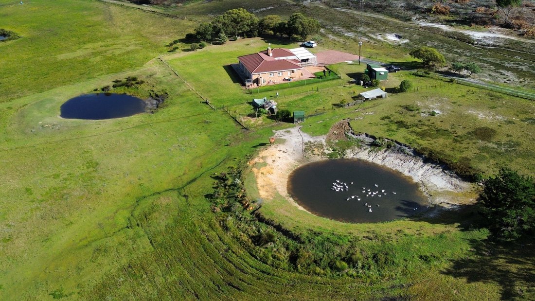 Farm Ranch in Gansbaai, Western Cape, South Africa 3 - 17847782