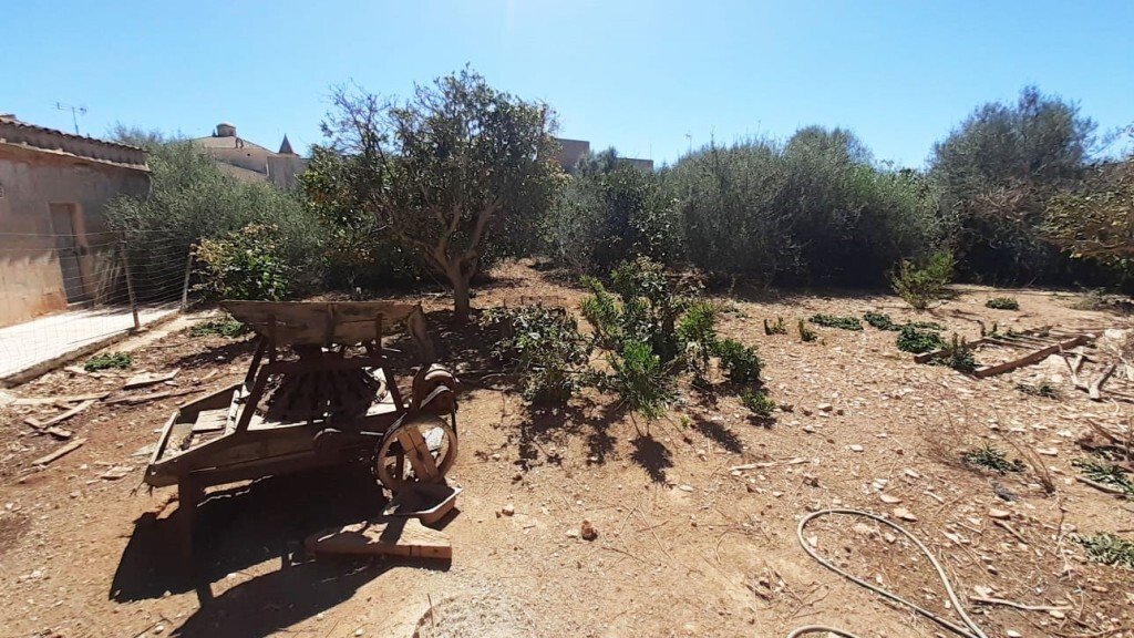Land in s'Alqueria Blanca, Santanyi, Balearic Islands 1 - 17847510
