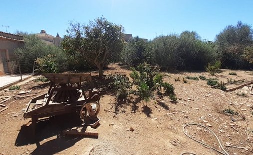 Land in s'Alqueria Blanca, Santanyi, Balearic Islands 1