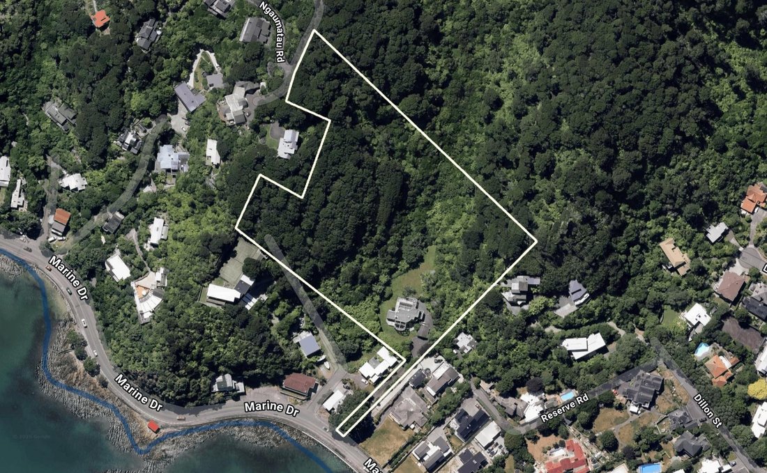 Lower Hutt, Wellington, New Zealand 3 - 17835966
