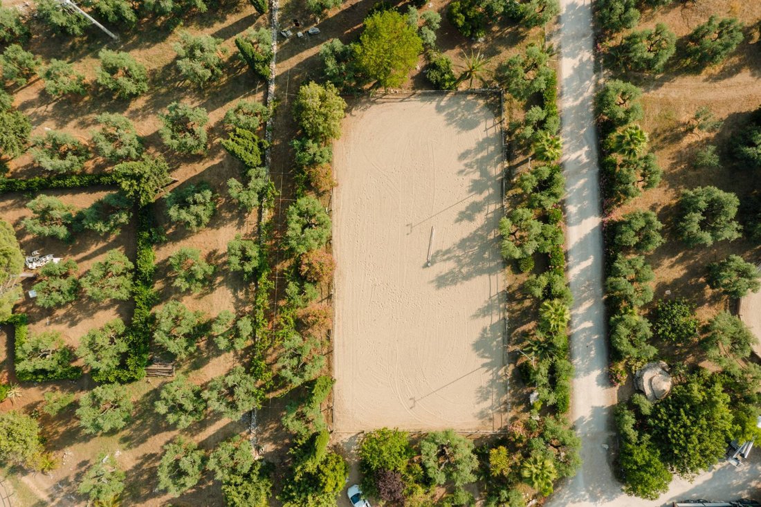 Farm Ranch in Sant'Andrea, Bisceglie, Apulia 4 - 17844407