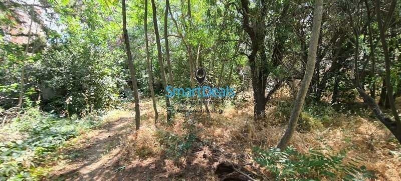 Land in North Athens, Attica, Greece 2 - 17843810