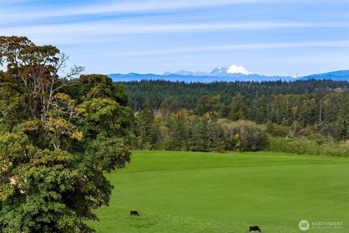 House in Camano, Washington, United States 3 - 17849168