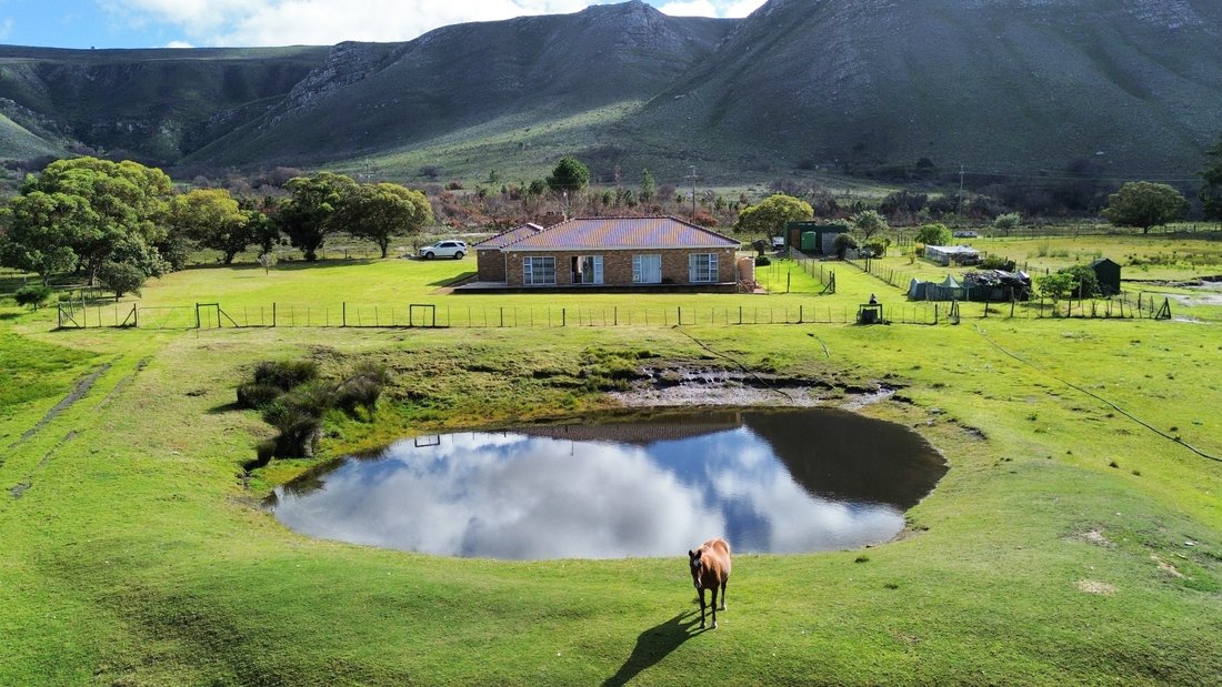 Farm Ranch in Gansbaai, Western Cape, South Africa 5 - 17847782